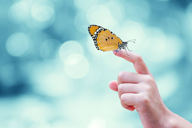 istock Beautiful butterfly sitting on the hand 531629573