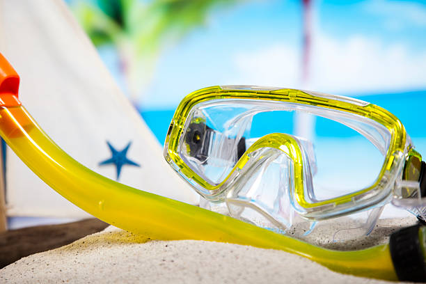 istock Concept of summer vacation 531629889