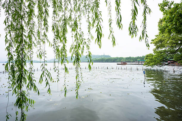 Beautiful view in west lake (Xihu), Hangzhou, China.