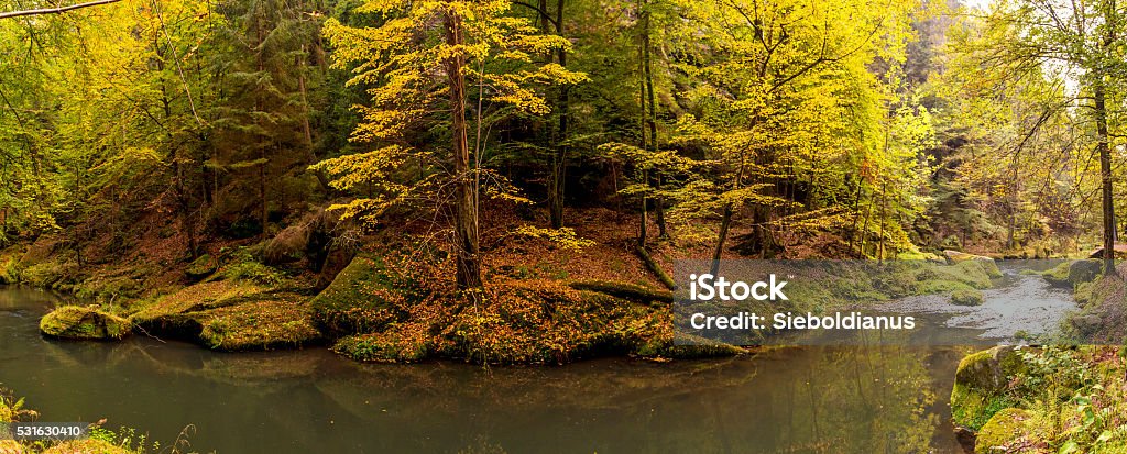 Saxon Switzerland with River Kamenice (Kamnitz) in Fall (Czech). Czech Republic Stock Photo