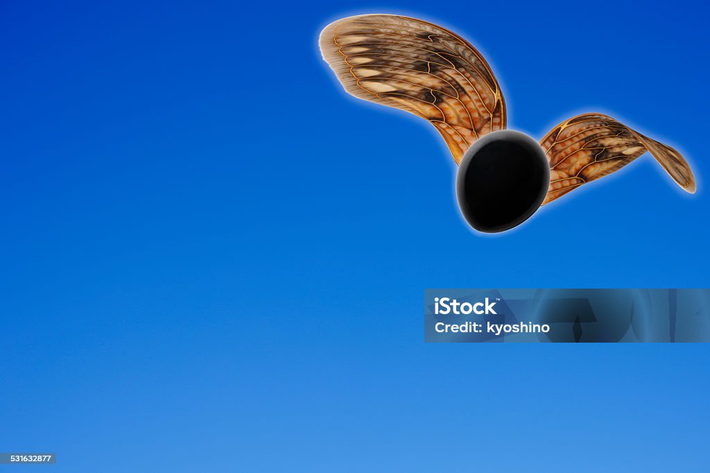 ブラックに翼を飛ぶ熱気球では、澄んだ空 - 2015年のロイヤリティフリーストックフォト