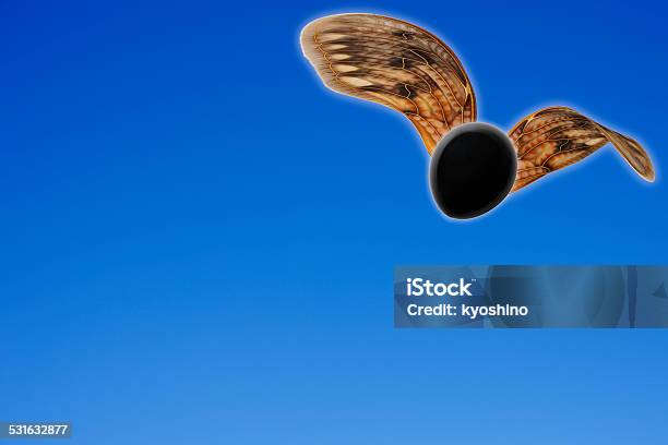 ブラックに翼を飛ぶ熱気球では澄んだ空 - 2015年のストックフォトや画像を多数ご用意 - 2015年, ひらめき, カラフル