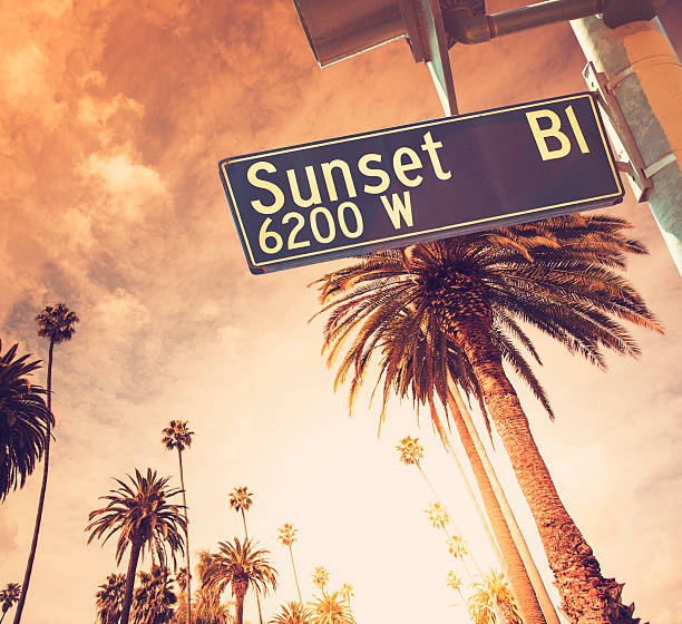 Sunset Blvd in Los Angeles California Sunset Blvd in Los Angeles California. Palm trees and sun flare can be seen in the background. sunset strip stock pictures, royalty-free photos & images