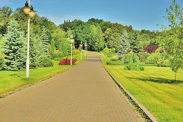istock Alley in the park 531633365