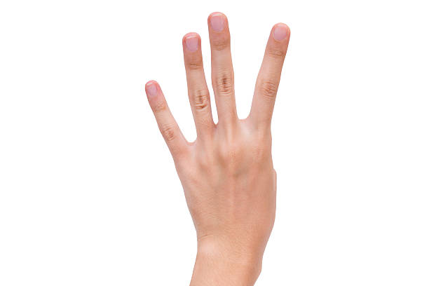 istock Signs woman hand on white background 531633481