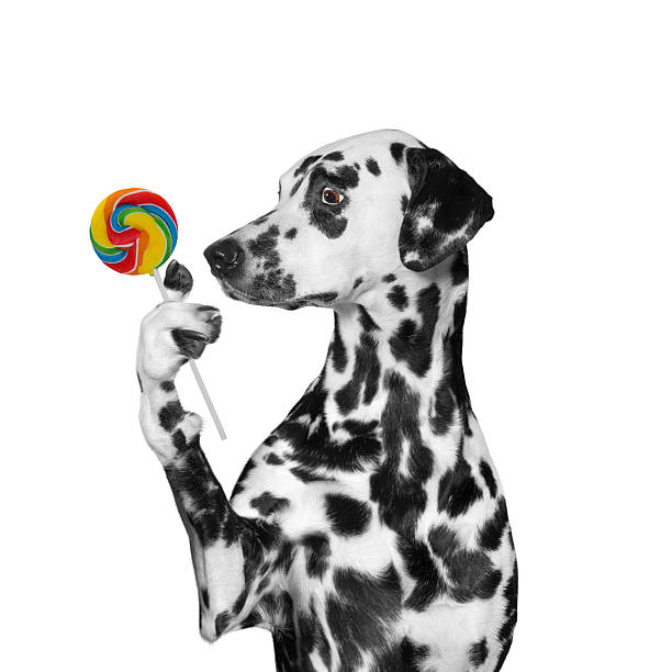 istock dog looking at candy lollipop in surprise 531634714