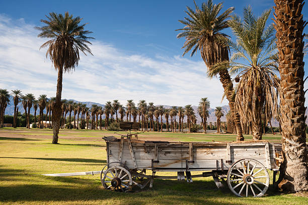 old buckboard vagón cubierto palm tree oasis del valle de la muerte - furnance creek ranch fotografías e imágenes de stock