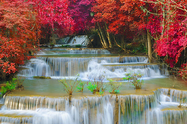 istock Waterfall in deep rain forest jungle at National Park, 531639755