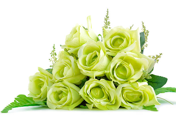 istock Green flower bouquet on white background 531640969