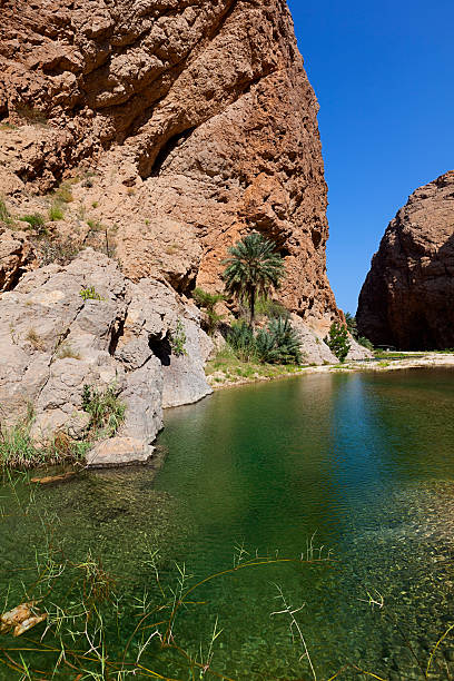 wadi al shab oman - oasis wadi al shab valley canyon zdjęcia i obrazy z banku zdjęć