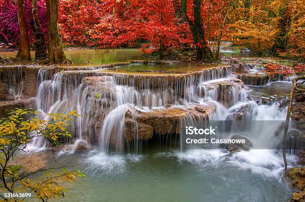 Waterfall In Deep Rain Forest Jungle At National Park Stock Photo - Download Image Now