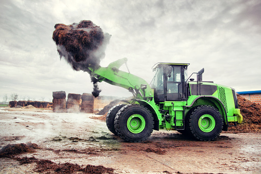 Mushroom compost made of hay is being transferred with a heavy loader machinery.