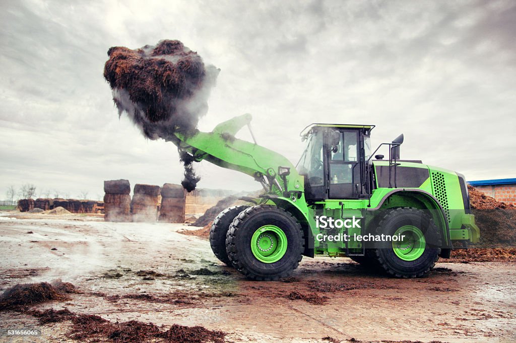 Heavy loader carrying food growing compost Mushroom compost made of hay is being transferred with a heavy loader machinery. Compost Stock Photo