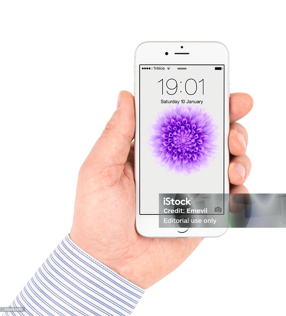Blanco Apple iPhone 6 mostrar la pantalla de inicio - Foto de stock de 2015 libre de derechos