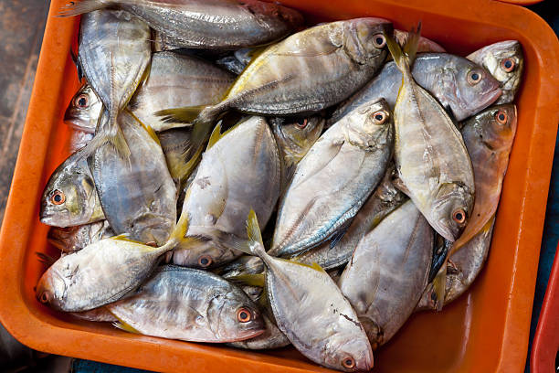 istock Raw fresh Fish for sale in market 531673141