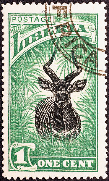 Antelope on stamp of Liberia, issued in 1918 Beautiful old postage stamp, issued in 1918, representing an antelope in the rainforest. antelope bongo stock pictures, royalty-free photos & images