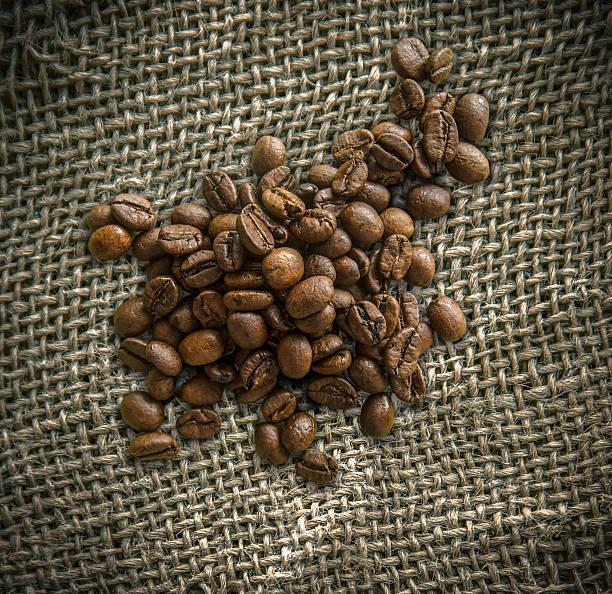 백 약간이요 무역하다 커피 원두 - coffee crop farmer equality coffee bean 뉴스 사진 이미지