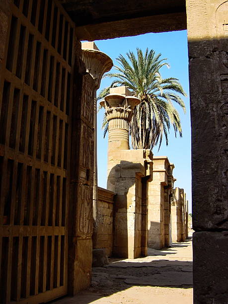 istock Egypt Luxor. Palm tree view at  Karnak Temple.. 531684972