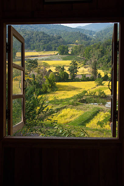 istock View from window at a wonderful rice terraces 531685236