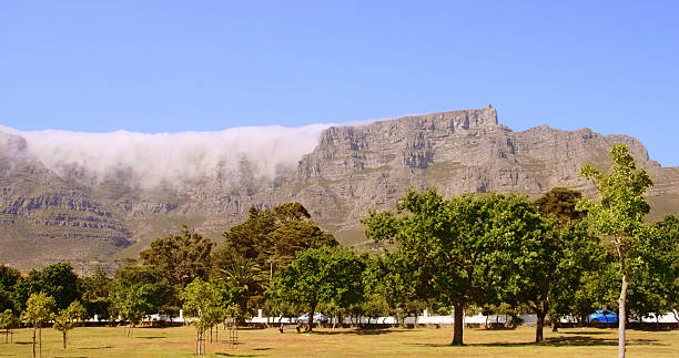 Cloud tablecloth pouring over Cape Town's Table Mountain Cape Town's famous landmark Table Mountain seen here, with its "tablecloth" of cloud, from nearby parkland table mountain and the tablecloth stock pictures, royalty-free photos & images