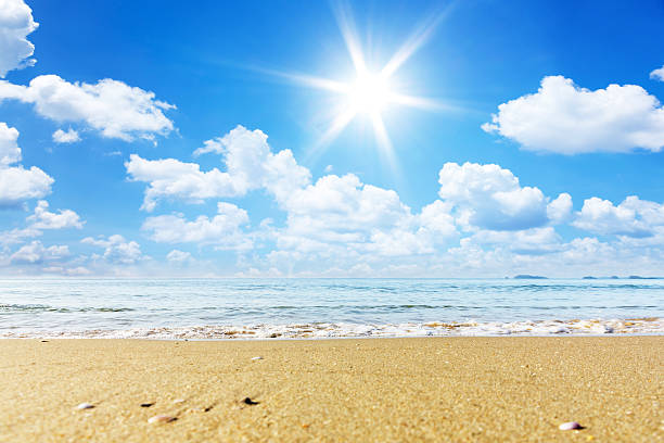 istock Beautiful tropical beach and sky. 531694335