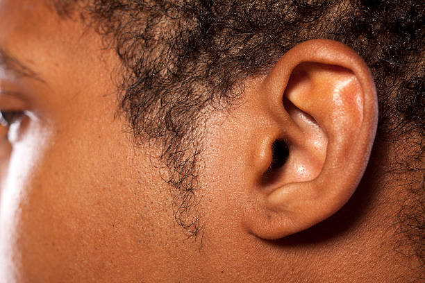Ear of a dark-skinned young man close up shot of the ear of a dark-skinned young man ear photos stock pictures, royalty-free photos & images
