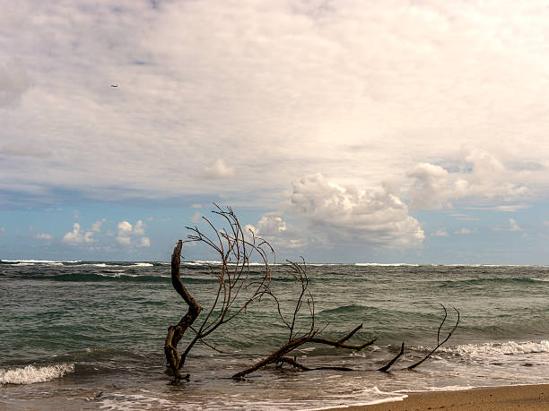 istock Seascape, Caribbean Beach Concept Image 531694381