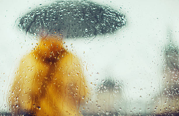 istock Man with umbrella through glass, rear view 531694418