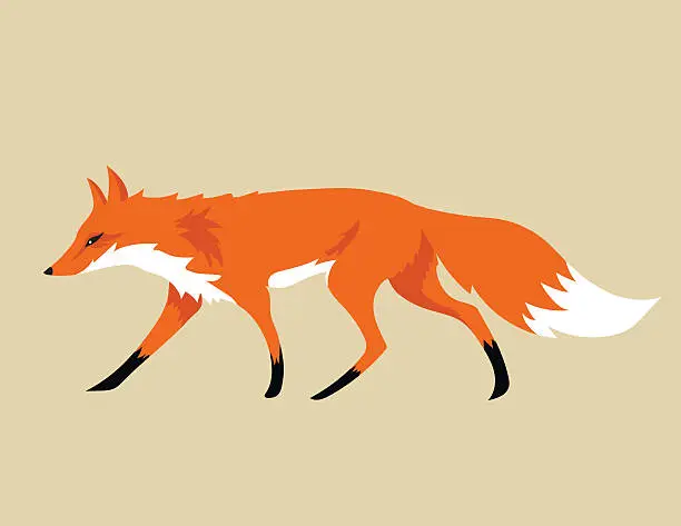 Vector illustration of Cartoon Fox Isolated On Beige Background