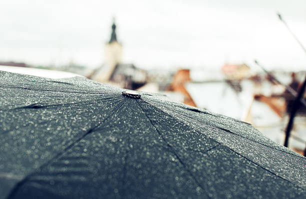 rain umbrella on the city - yağmur stok fotoğraflar ve resimler