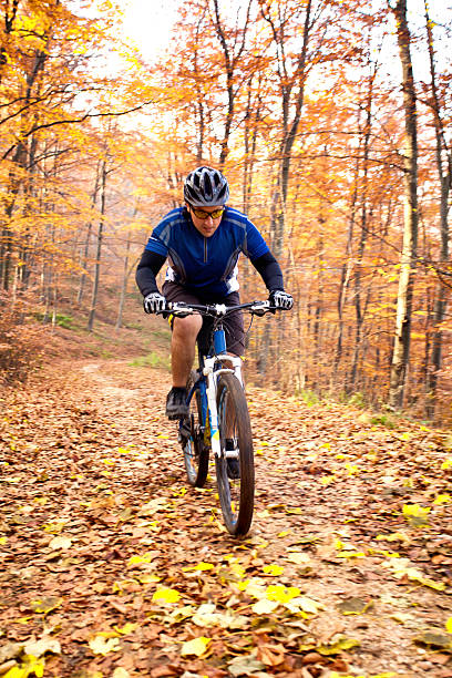 istock Mountain bike ride in forest 531696142