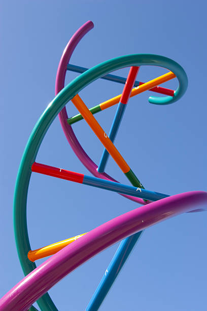 istock DNA sculpture in San Diego CA 531696359