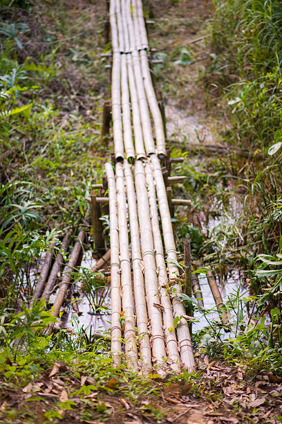 istock handmade bamboo bridge in garden 531696401