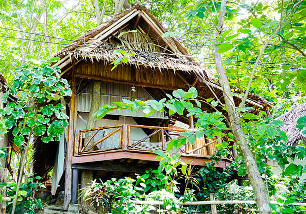 istock Wooden bungalow in the jungle 531696669