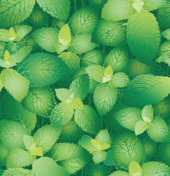 Vector illustration of Mint Seamless Pattern.