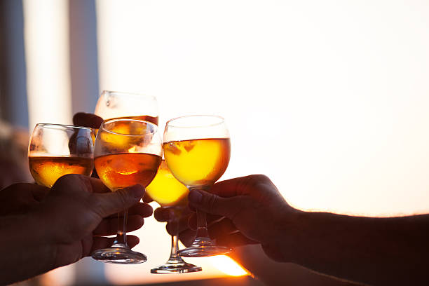 istock Group of people toasting at a celebration party 531697994