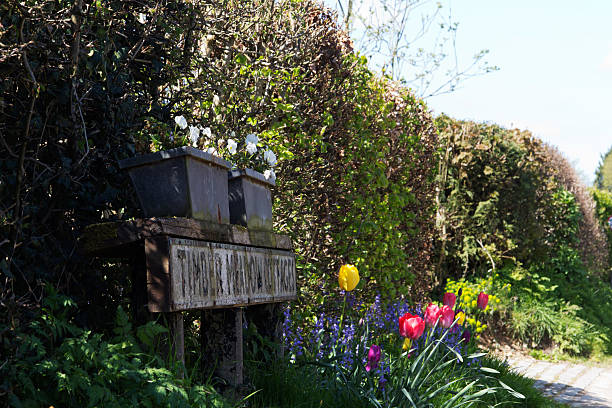 istock Flowers outside cottages in the Chilterns, England 531699636