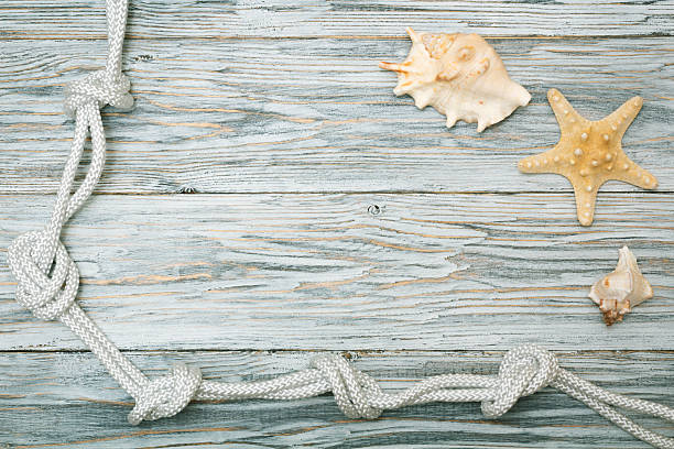 istock sea shells and rope on old boards 531705612