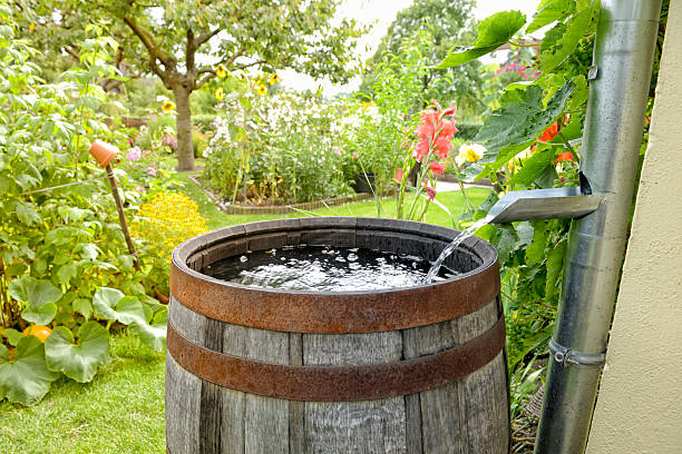 Rain barrel in the garden stock photo