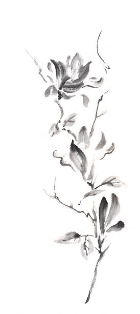 istock Magnolia scroll Japanese style original sumi-e ink painting. 531706704