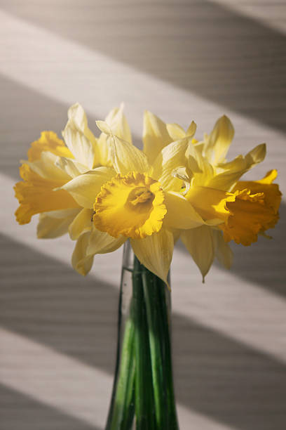 istock bouquet of yellow daffodils 531707338