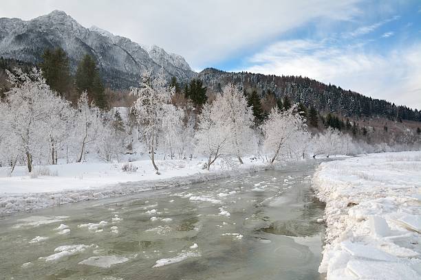 istock Frozen river and trees in winter season. 531710029