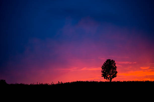 istock beautiful sunset on the horizon 531710090