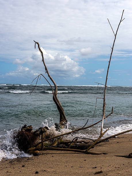 istock Seascape, Caribbean Beach Concept Image 531711477