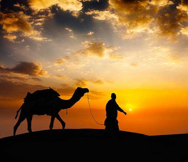 istock Cameleer camel driver with camels in desert dunes 531711655