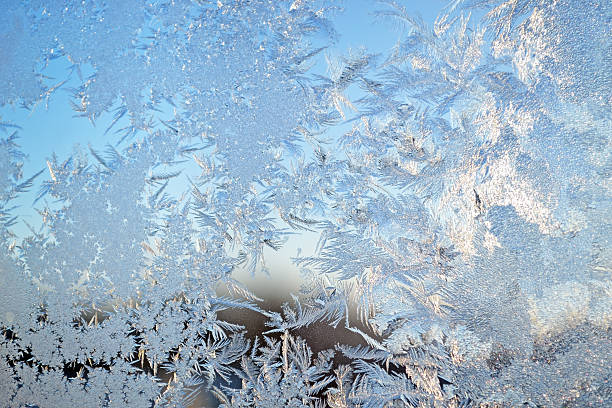 istock Tracery from the frost 531711897