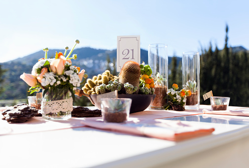 Impressive wedding table with cactus and flowers