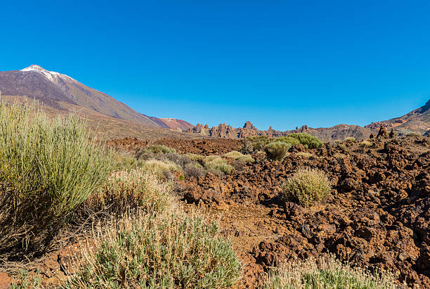 istock Lava Field with El Teide 531713226