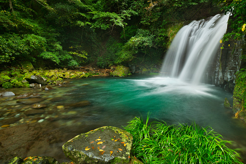 The Shokeidaru waterfall along the Kawazu Nanadaru waterfall trail on the Izu Peninsula of Japan.