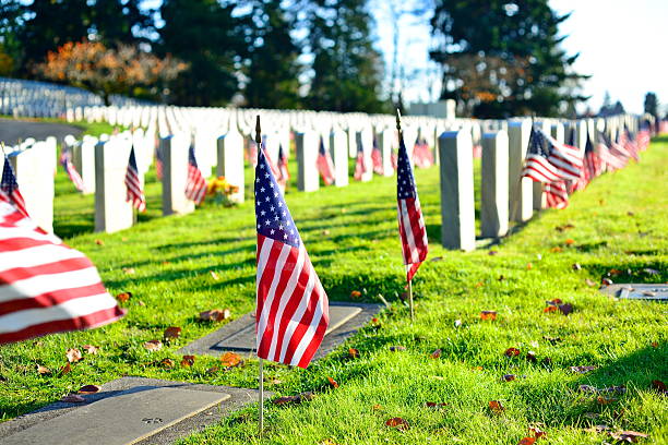istock American Flags at Cemetery 531713919